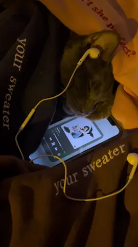 heather day… #conangray #heather #fyp #foryoupage #abcxyz @conangray @user6141013131857 @coneworld 