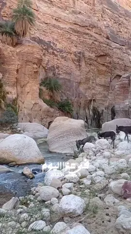 #في هذا اليوم 