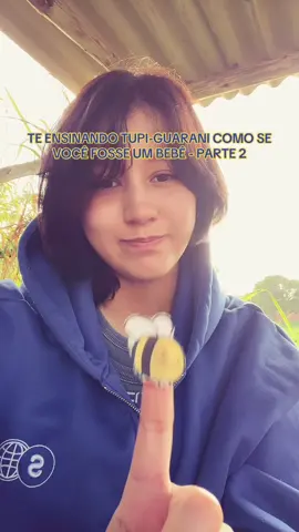 alguém pediu um(a tentativa de) asmr aí? 🐝 #auladetupiguarani 