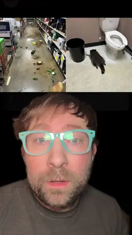 12/2 — After several hours of rest, the raccoon that broke into the abc store sobered up and was released back into the wild. #abc #richmond #virginia #alcoholic #drunk 