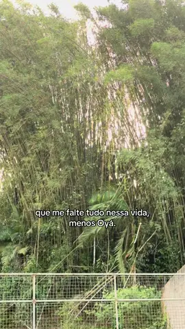 #oya #iansa #orixas #incorporação #macumba 