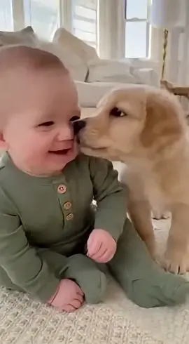 Pets e bebês brincando, só alegria e inocência! #pets #petsfofos #petsebebes  #cachorro 