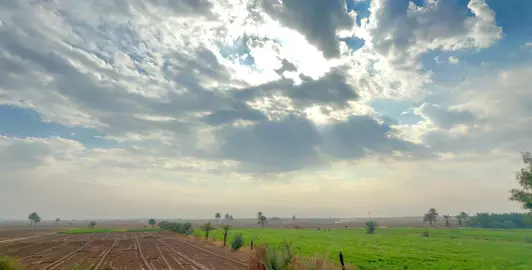 جمال الريف 🫶🏼❤️#تصويري #متابعه_ولايك_واكسبلور_احبكم #تصويري📸اكسبلوور #شعر #شعراء_وذواقين_الشعر_الشعبي 