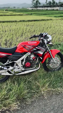 ❤️‍🩹 #ninjass #twostroke 