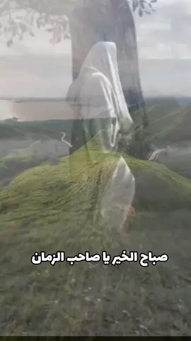 #CapCut  #صباح_الخير_يا_صاحب_الزمان #دعاء_العهد_محسن_فرهمند 