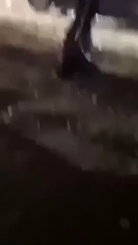 #الشعب_الصيني_ماله_حل😂😂 #الشارجه_زعيم_باقي_مب_ريال #الفقيت #تلوار 