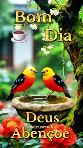 #deusetudo  #deus #motivacional  #reflexaododia  #bomdia 