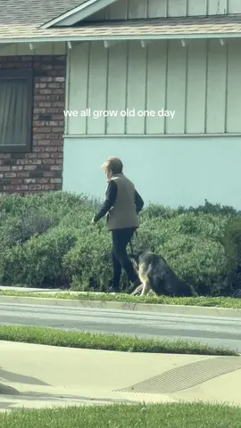 #fyp #mansbestfriend🐶 #oldage 