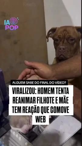 Homem tenta reanimar filhote e mamãe fica o tempo todo do lado 💔#fyf #viralvideo #dog #entretenimiento 