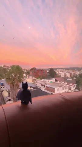 Sombras ven a mi #batman #thedarkknight #legobatman #legotiktok #sunset 