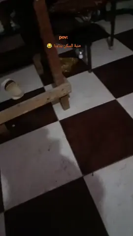 منبة السكن 😂🔥 #fyp #foryou #تربية_رياضية_المنيا 