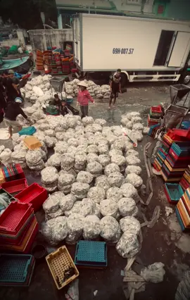 Quên sao được những ngày đau khổ khổ đau này nhất định sẽ qua #xuhuongtiktok #xuhuongtiktok 