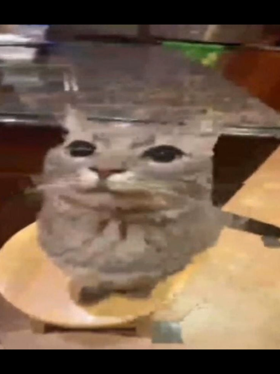 shiny nickel é um poeta slk#shinynickel #fyp #foryou 