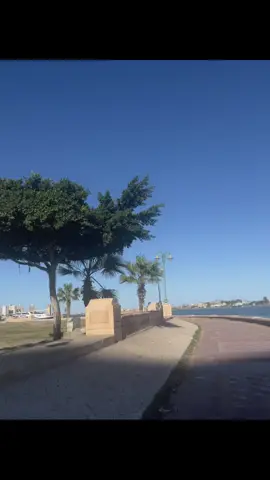 #رشيد #fffffffffffyyyyyyyyyyypppppppppppp 