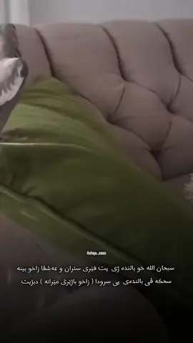 سبحان اللە خو بالندە ژی  یت فێری ستران و عەشقا زاخو بینە  سحکە ڤی بالندەی  یی سرودا ( زاخو باژێرێ مێرانە ) دبژیت😄😍🦜#ashqa_zaxo #zakhosportclub💪🇮🇩 #زاخو_باژيري_ميرانه #zakhosportclub #zakho 