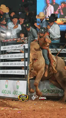 Moda bruta. 🔥 #rodeio #touro #rodeioemtouros #tourosderodeio 