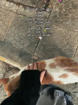 #fyppppppppppppppppppppppp #nasheed #khimar #بدون_موسيقى #نشيد 