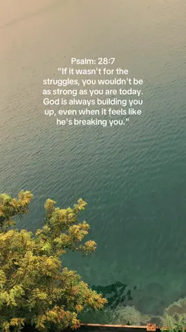 Everything happens for a reason #Purpose #faith #Godswill #christiantiktok #fyp 