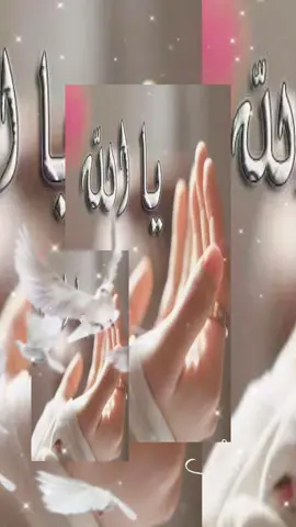 #ياالله💚ياالله💚ياالله💚ياالله 