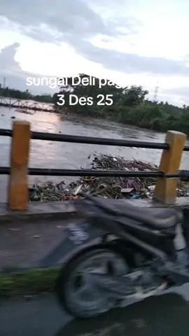 #fyp  #sungai deli medan hari ini  #tiktokviral 