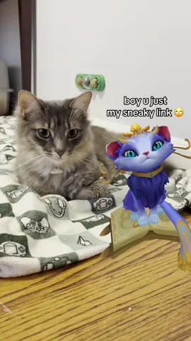 just give him a chance… @League of Legends #fyp #catsoftiktok #leagueoflegends #yuumi #sillycat 