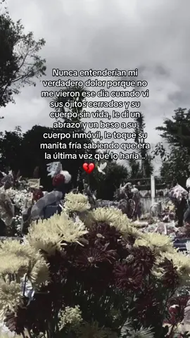 #textrañomucho😔💔😭 #tevasangelmio😢😢🥀🥺🖤💔🕊️ #porsiempreenmicorazon🕊️😭💔 #viraltiktok 