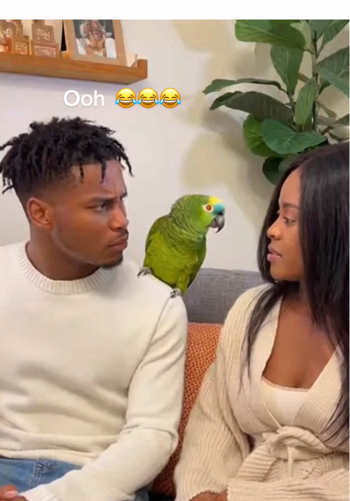 #haitiantiktok #comedyvideo🤣 #perros 