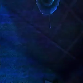 Himeno's version #himeno #himenochainsawman #chainsawman #chainsawmanedit #edit 