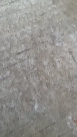 #fyp #😝❤️ #ផុសអត់អ្នក__like🙃 