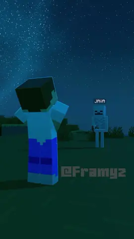 Java Skeleton vs Bedrock Skeleton 🗿 #Minecraft #minecraftanimation #minecraftmemes #fyp 