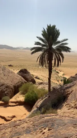 ##عرنان_المسمى_الخرم 