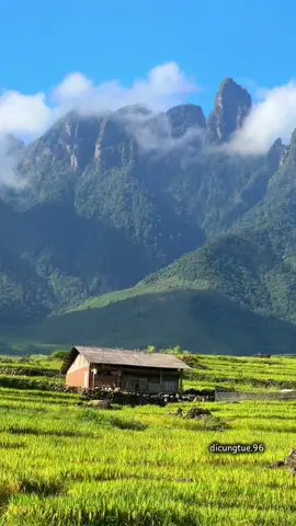 Ước mơ có 1 căn nhà nhỏ ở Ngũ Chỉ Sơn 🏔 sau chuyến trekking  📍Ngũ Chỉ Sơn, Sapa, Lào Cai  Mình đang có lịch trekking 5-6/12 và 18-19/12 và 1-2/1/2026 #nguchison2858m #sapa #laocai #laichau #leonui 
