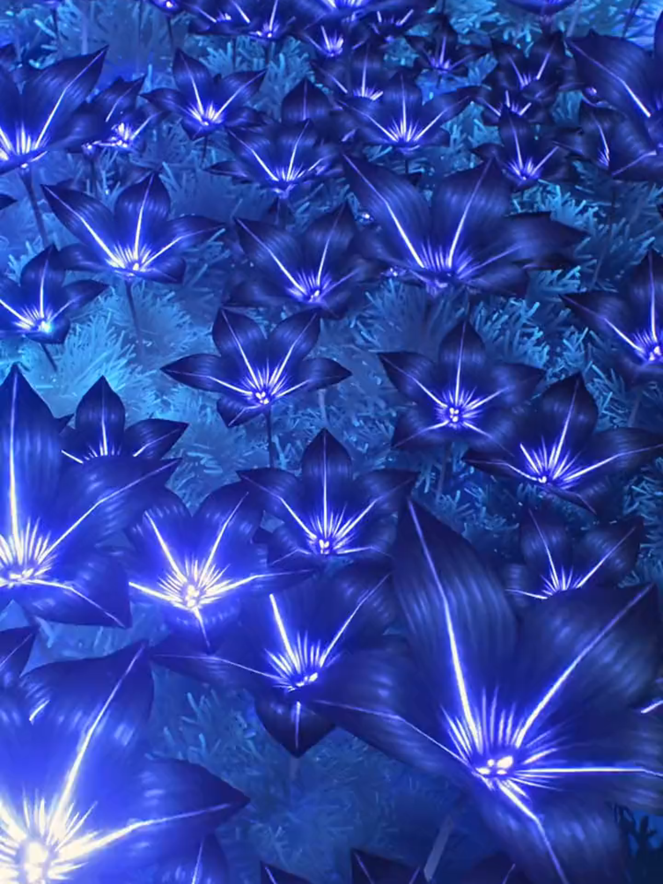 Here no watermark thanks for 1K watching #shorekeeper #wutheringwaves #hd #livewallpaper