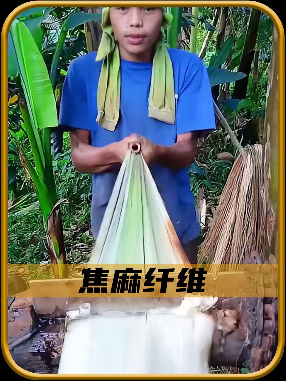 印尼人为什么提取香蕉纤维！