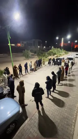 #loupgarou #loup #loups #algerienne #algeria🇩🇿 