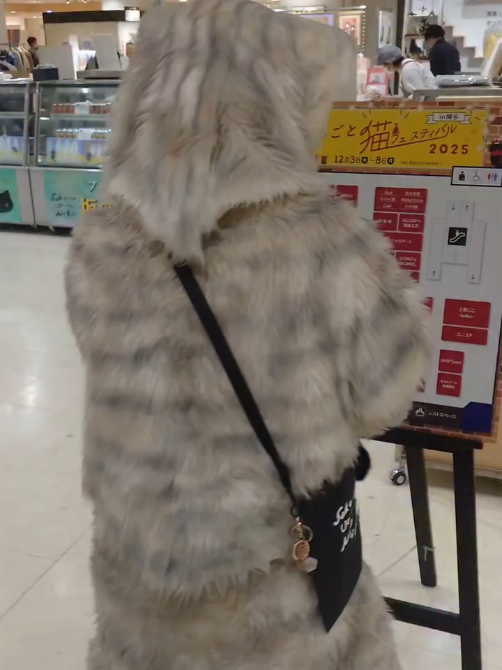 ☀おはようございます☀ 福岡県 「博多阪急百貨店」８階 まるごと猫フェス🍀🍀🍀🍀 初日です😊 10:00〜20:00 最終日は17:00閉場となります🐱 今回から新作プリンを販売開始です😊 保冷バッグ、タオル、ハンドタオル、CD等も販売します🙆 保冷バッグも各種有ります🎶 大は少し（白）もあります 年内最後の催事となります🐱 皆様のご来場をお待ちしております✨✨✨