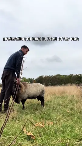 Fake Fall, Real Animal Reactions.#farm #animals #funny #fyp #goat 