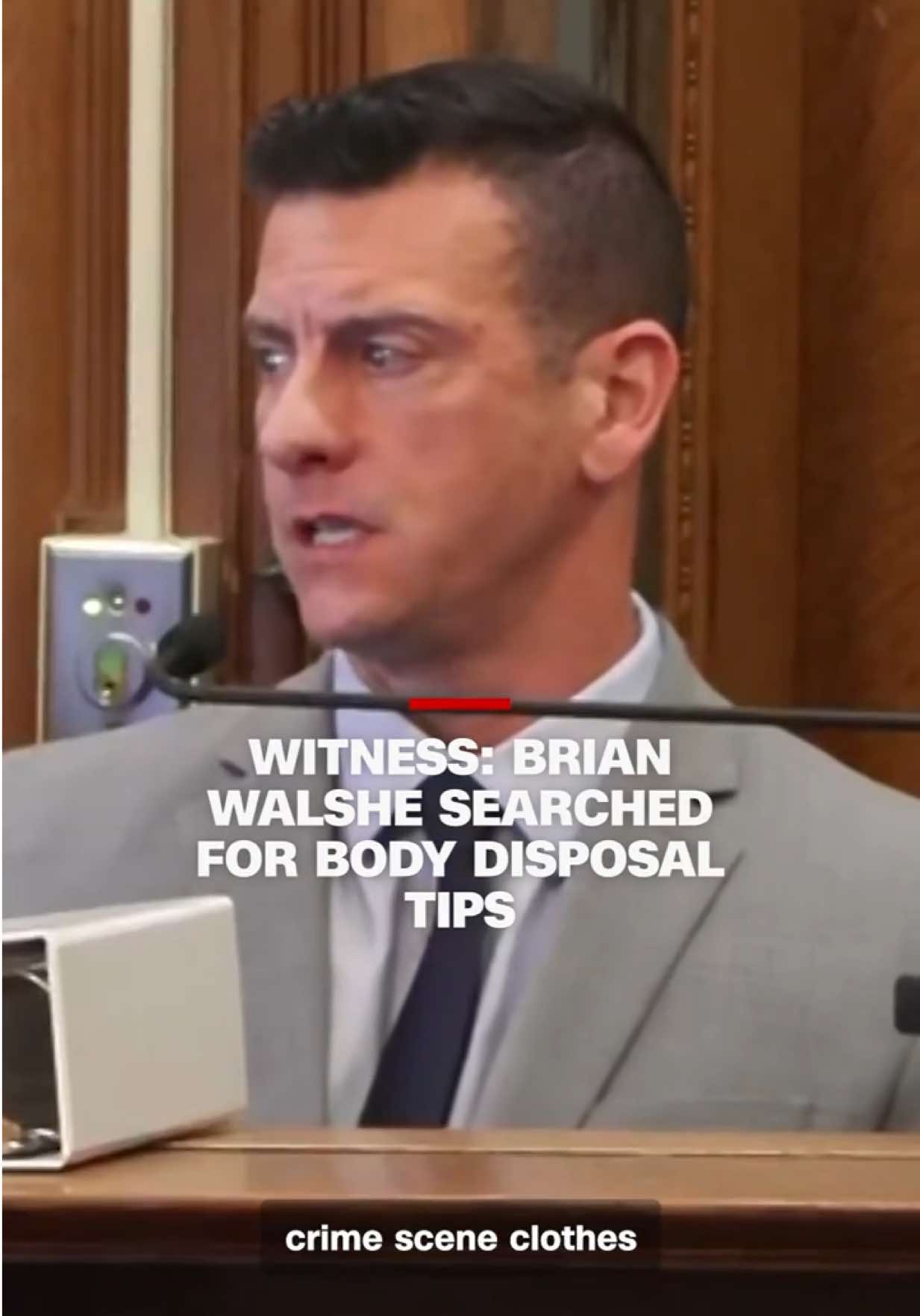 Massachusetts State Police Trooper Nicholas Guarino reads entries from Brian Walshe's search history in court from the witness stand. Walshe, who denies killing his wife Ana Walshe, pleaded guilty last month to misleading police and improper conveyance of a human body. Her body has not been found.