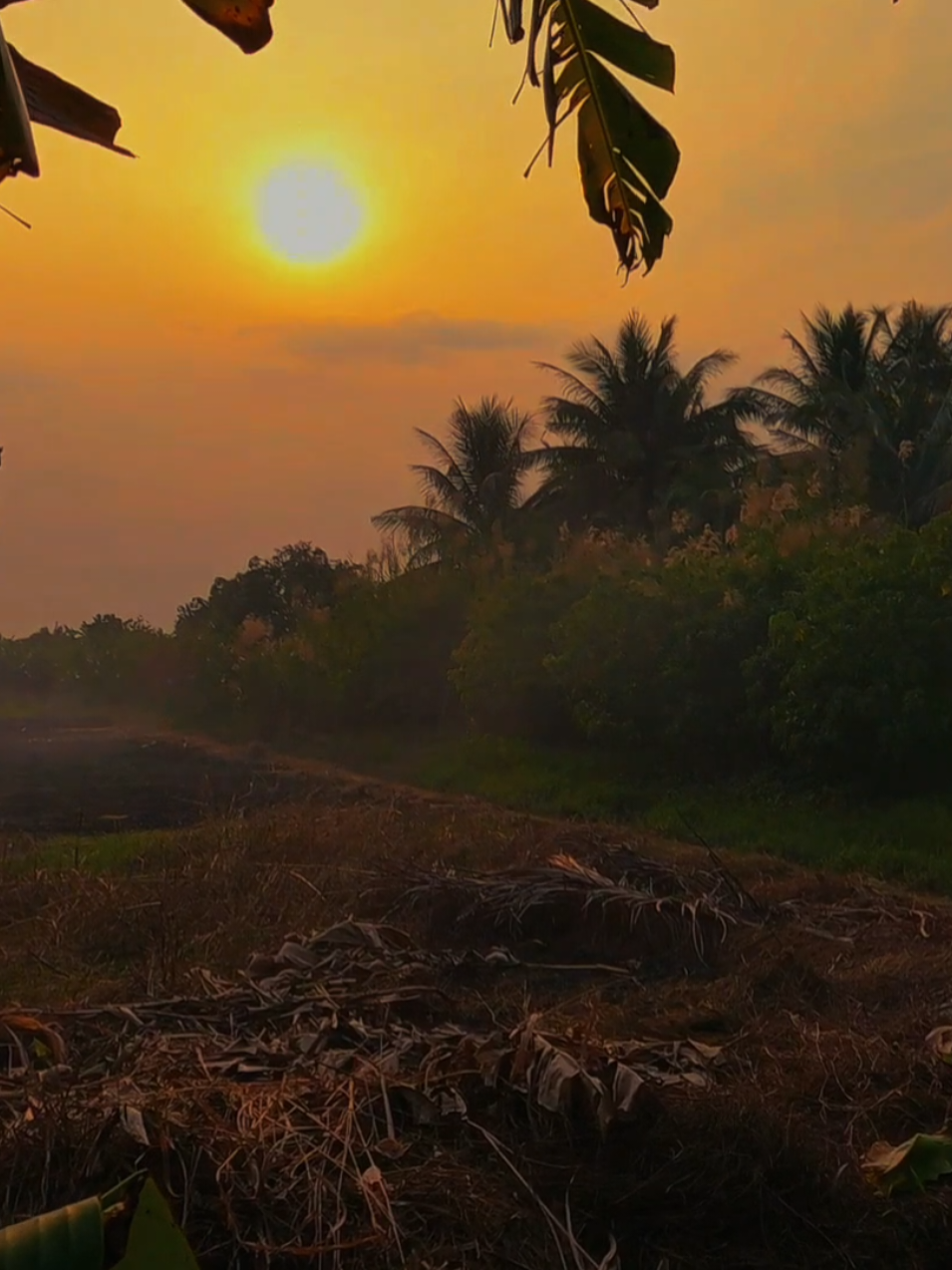 tết rồi nha #xh #xuhuong #viral #tet #tet2026 