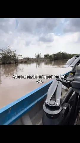 #tuanvi2811 #tamtrang #livefest2025 