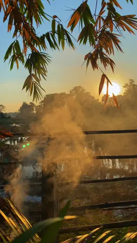 ពេលព្រឹកជាមួយកម្លាំងថាមពលផ្លូវចិត្តដ៏រឹងមាំ❤️🏡💻🏡📖📚🪴☘️🌿