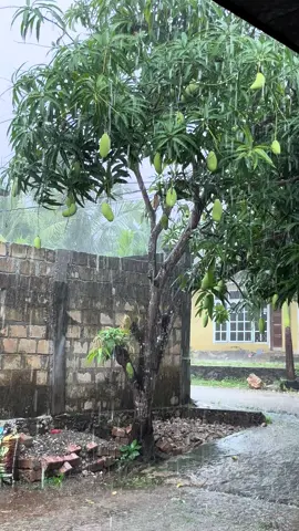 Berkah😇#fypシ゚ #berandafyp 