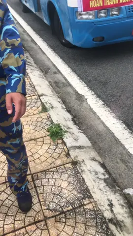 Chiến dịch Quang Trung bắt đầu