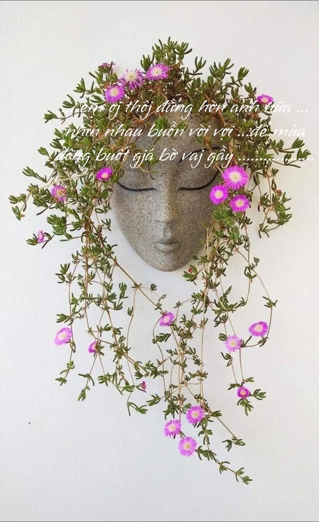 #xuhuongtiktok #TikTokAwardsVN #capcutvelocity 