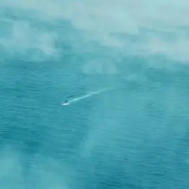 Hollywood movie edits Viral movie scenes #fyp #foryou#viral #trending#FYP#ForYou #Hollywood Vibes #CinematicLook #FilmScene#Movie. 