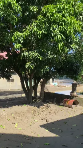 Cek pon #viral #viral #