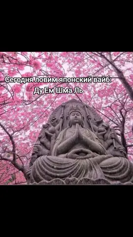 #щитпост #щп #вайб 