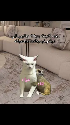 #fyp #fypシ゚ #الشعب_الصيني_ماله_حل😂😂 #creatorsearchinsights 