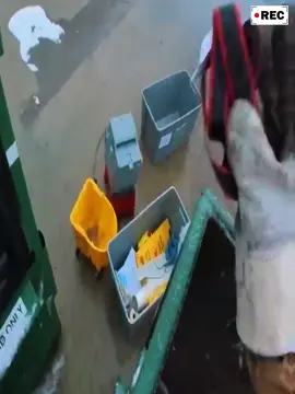 Love dumpster diving #food #diving #dumpster #viral 
