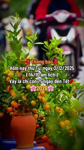 Thêm chút lạnh, thêm chút nhớ… sắp Tết rồi đó🌸🧧#tetnguyendan2026🧧🎆🧨 #CapCut #fyp #xuhuong #thinhhanh 